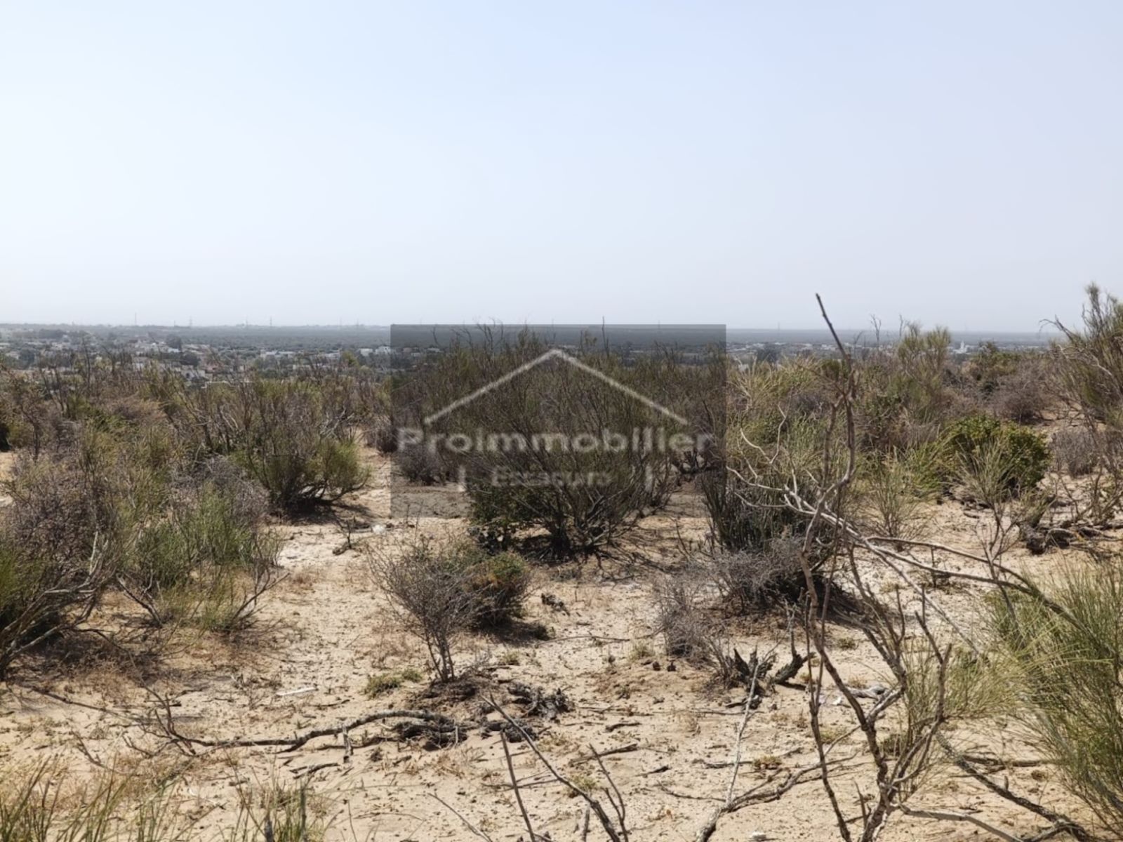 24-05-17-VT Beautiful land for sale in Essaouira of  27000 m²