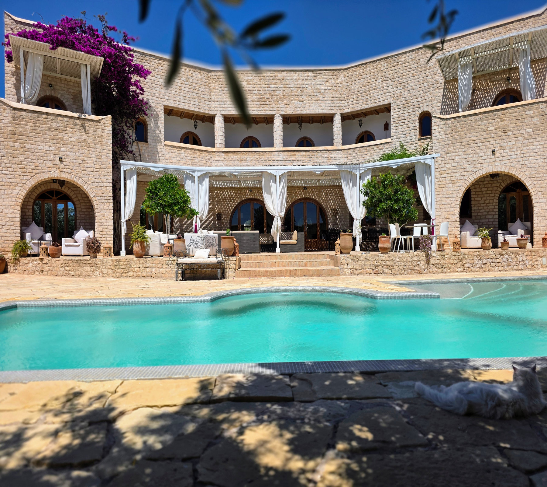 21-11-11-VM Exceptionnelle Villa d hôtes a vendre a Essaouira 750m² Magnifique jardin 10000m²