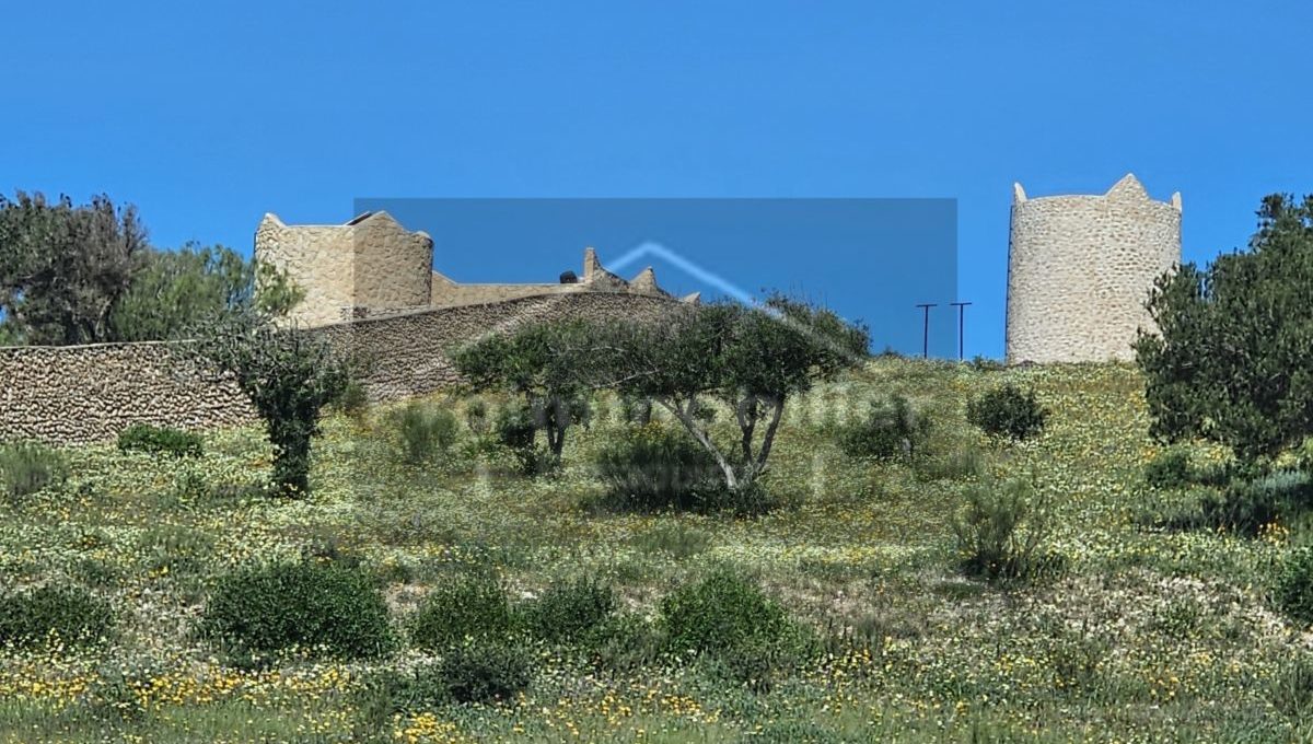 20250501_110324_resultat