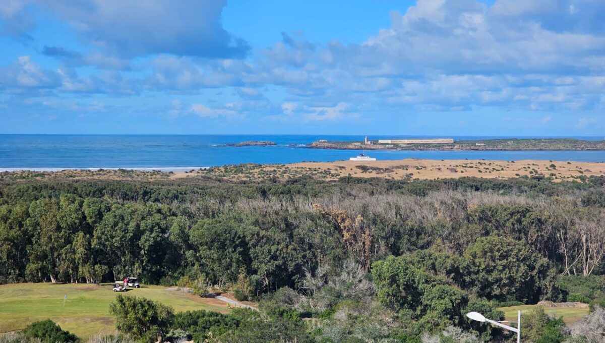 WhatsApp Image 2025-12-26 at 10.51.28