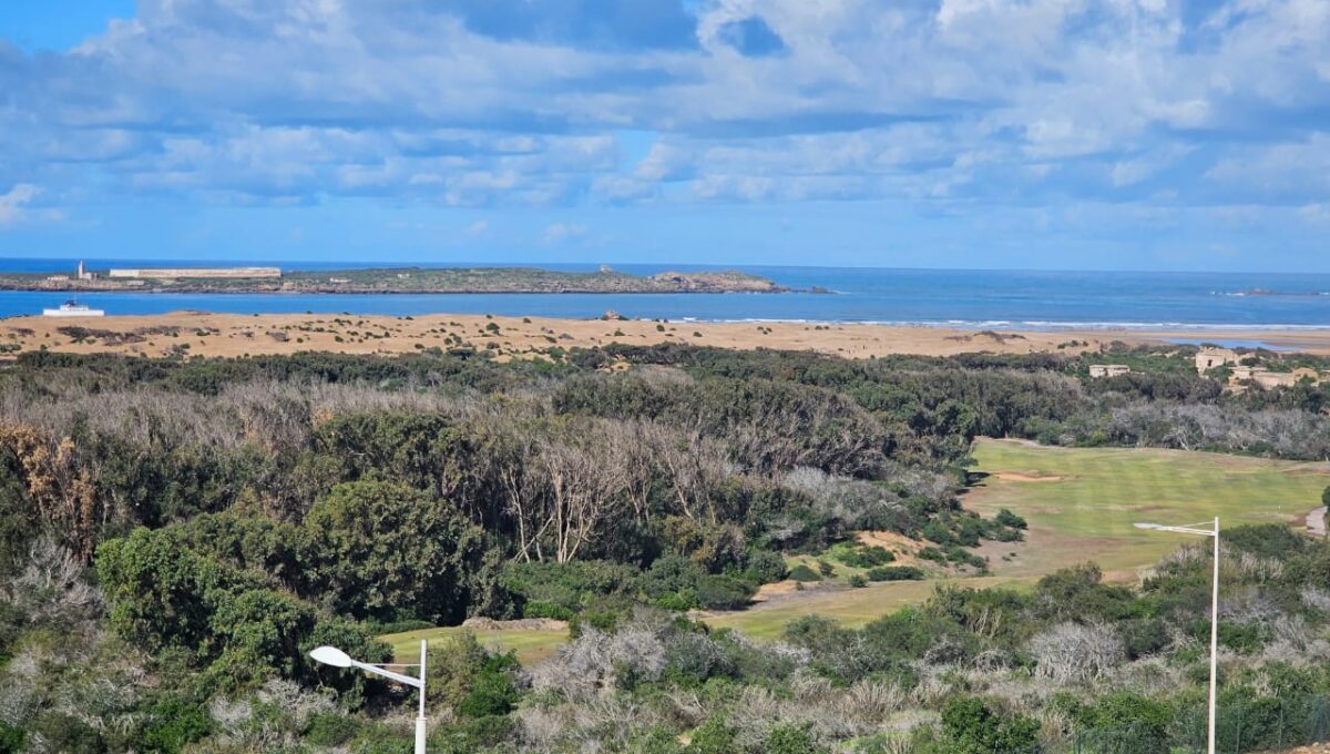 WhatsApp Image 2025-12-26 at 10.51.32