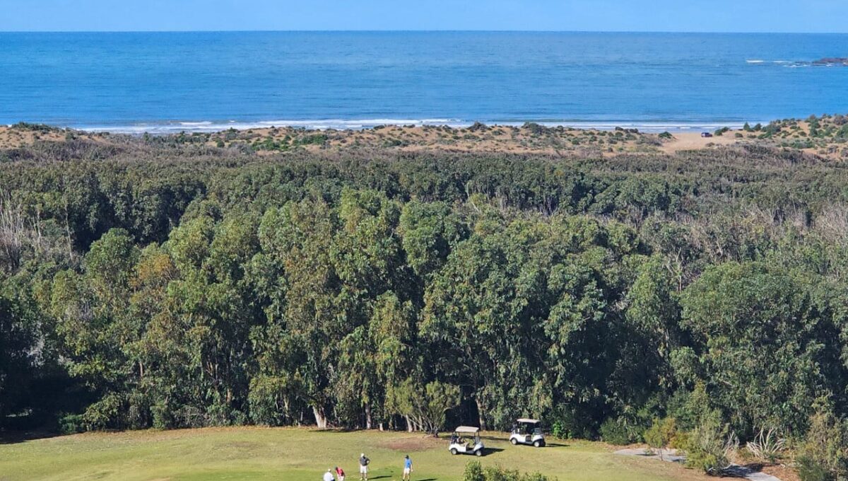 WhatsApp Image 2025-12-26 at 10.51.37