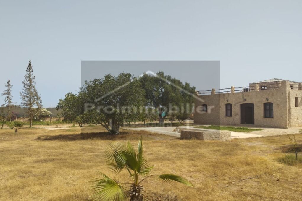 4a9a3982-6688-4c9a-a494-306b97b393ca_resultat