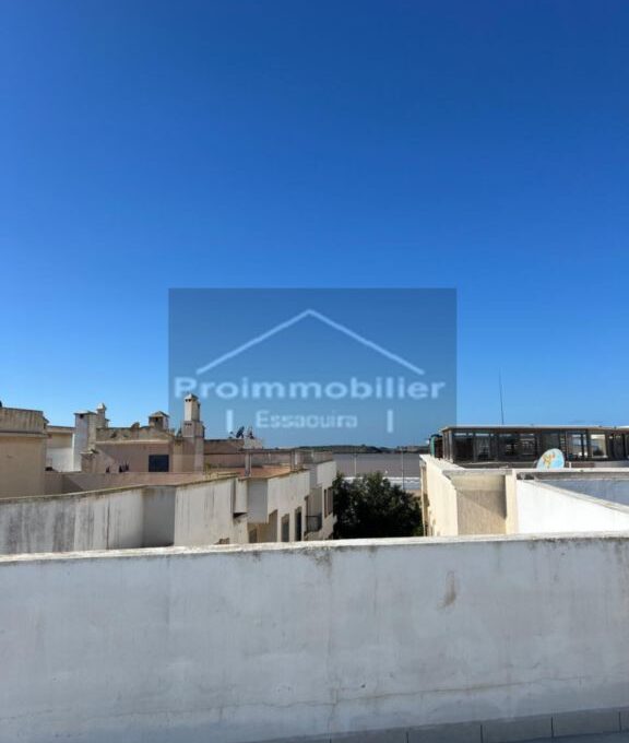 d5785993-3195-4c33-a9a4-3f6b91371797_resultat