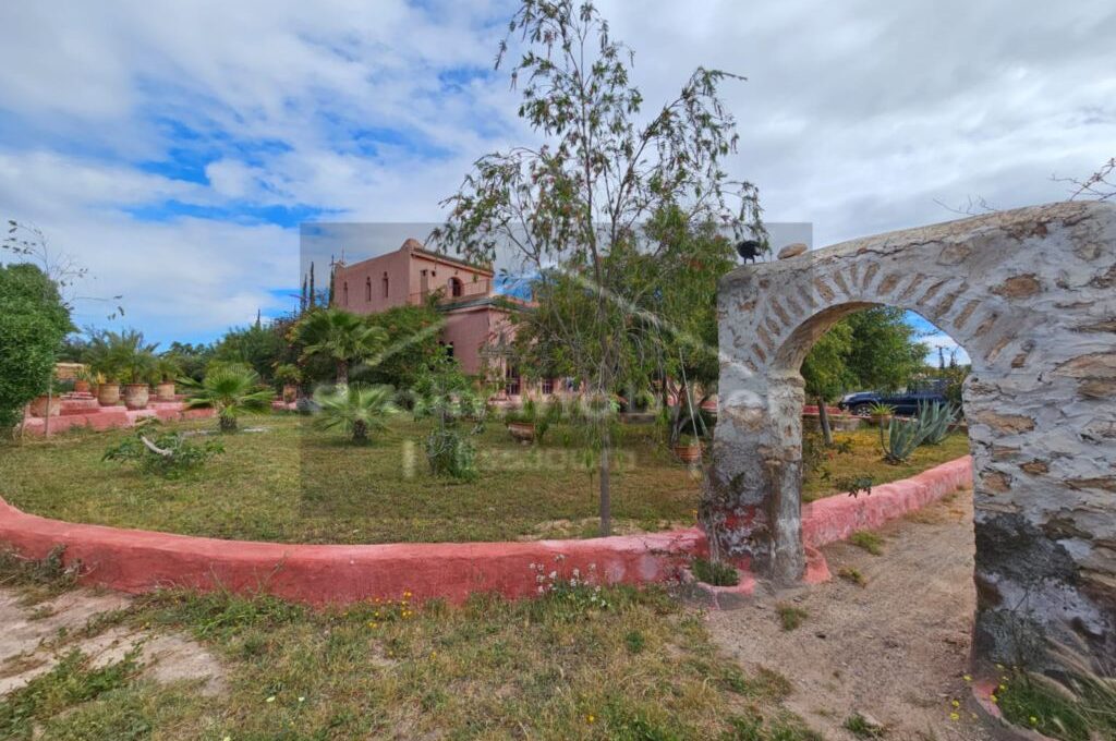 IMG-20260409-WA0021_resultat