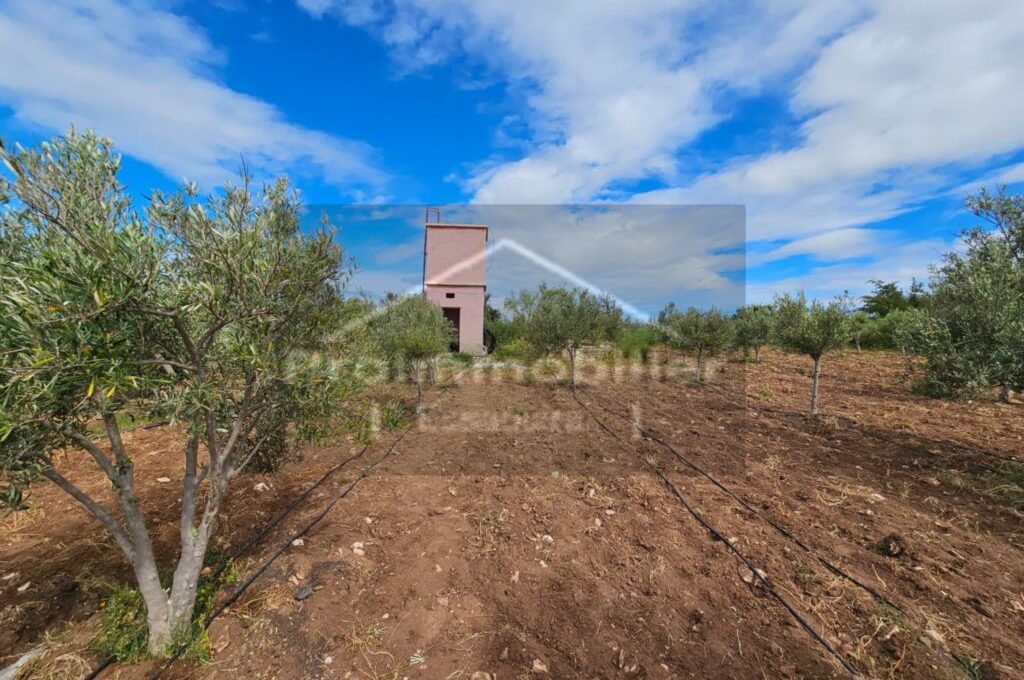 IMG-20260409-WA0024_resultat