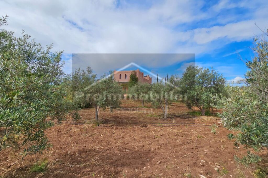 IMG-20260409-WA0028_resultat