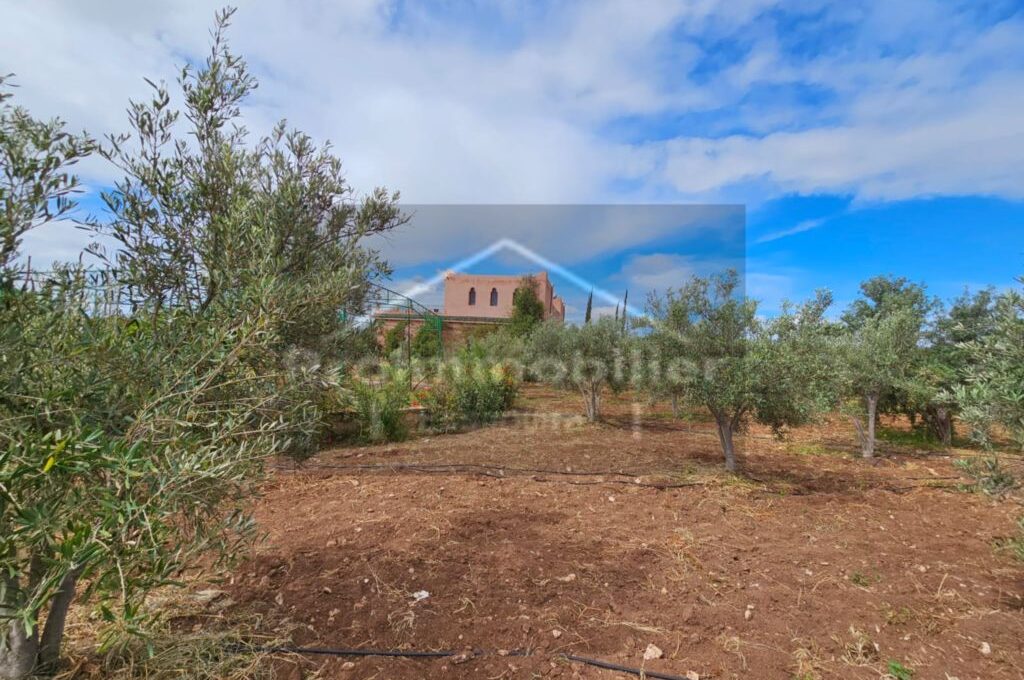 IMG-20260409-WA0029_resultat