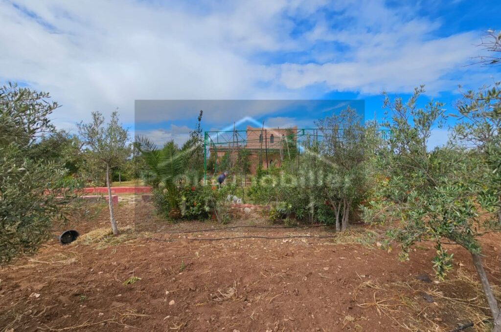 IMG-20260409-WA0030_resultat