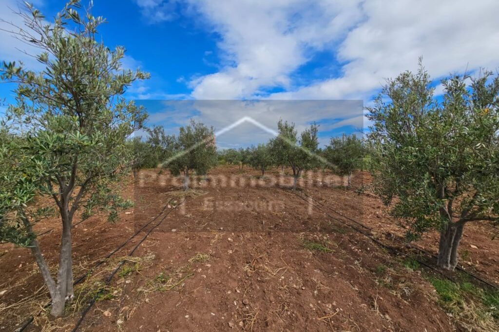 IMG-20260409-WA0031_resultat