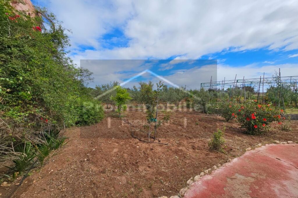 IMG-20260409-WA0032_resultat