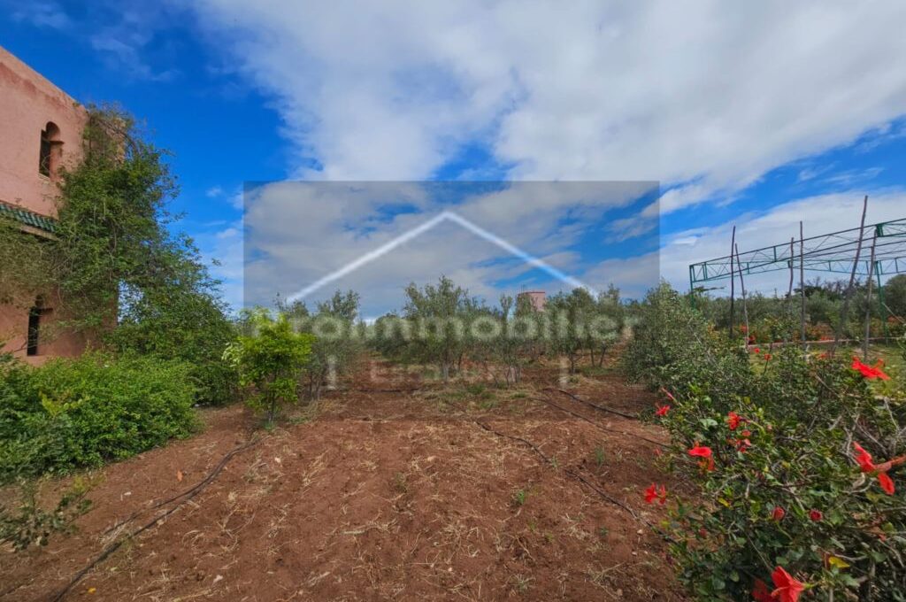 IMG-20260409-WA0033_resultat