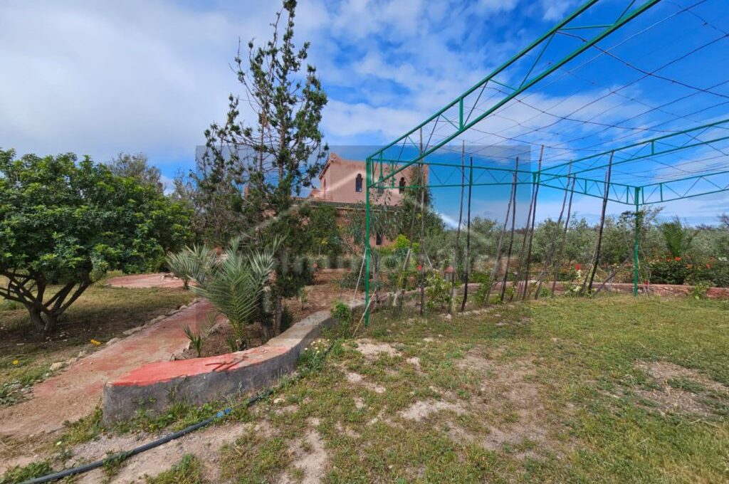 IMG-20260409-WA0034_resultat