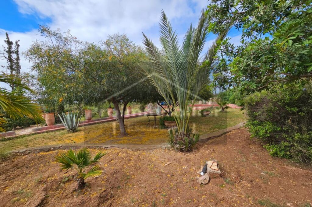 IMG-20260409-WA0041_resultat