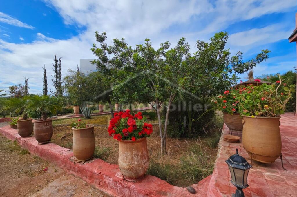 IMG-20260409-WA0042_resultat