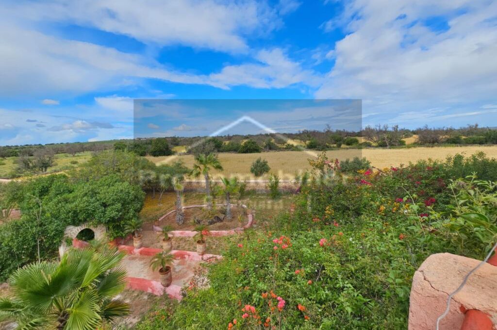 IMG-20260409-WA0043_resultat