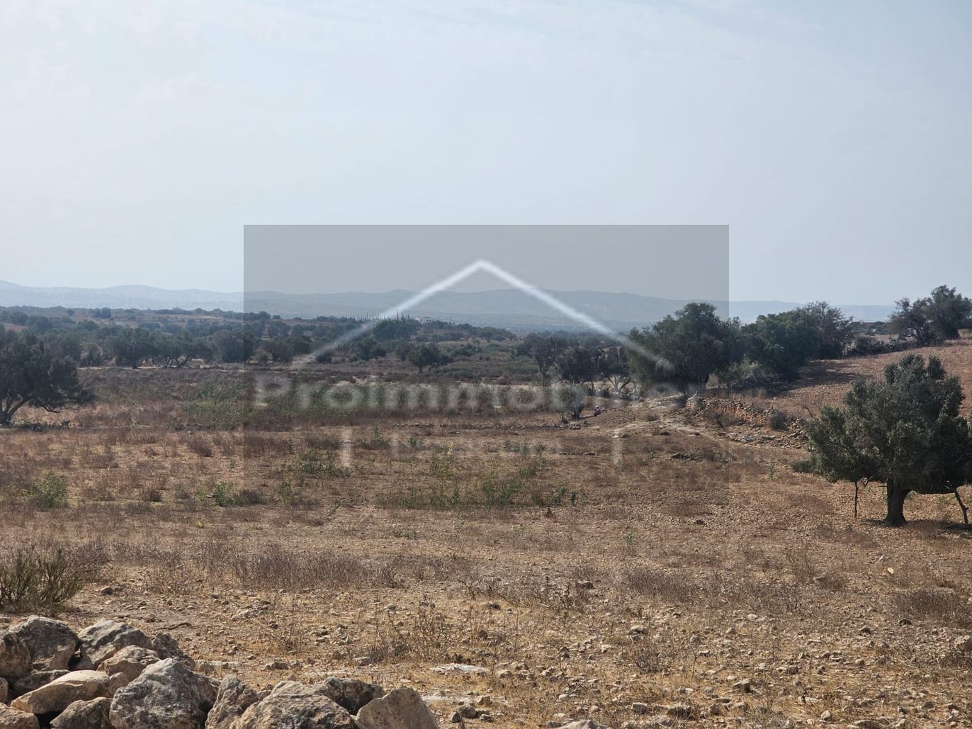 26-08-05-VT Terrain titré de 6 923 m² à proximité d’Essaouira, Sidi Kaouki et de l’aéroport-Sans AVNA