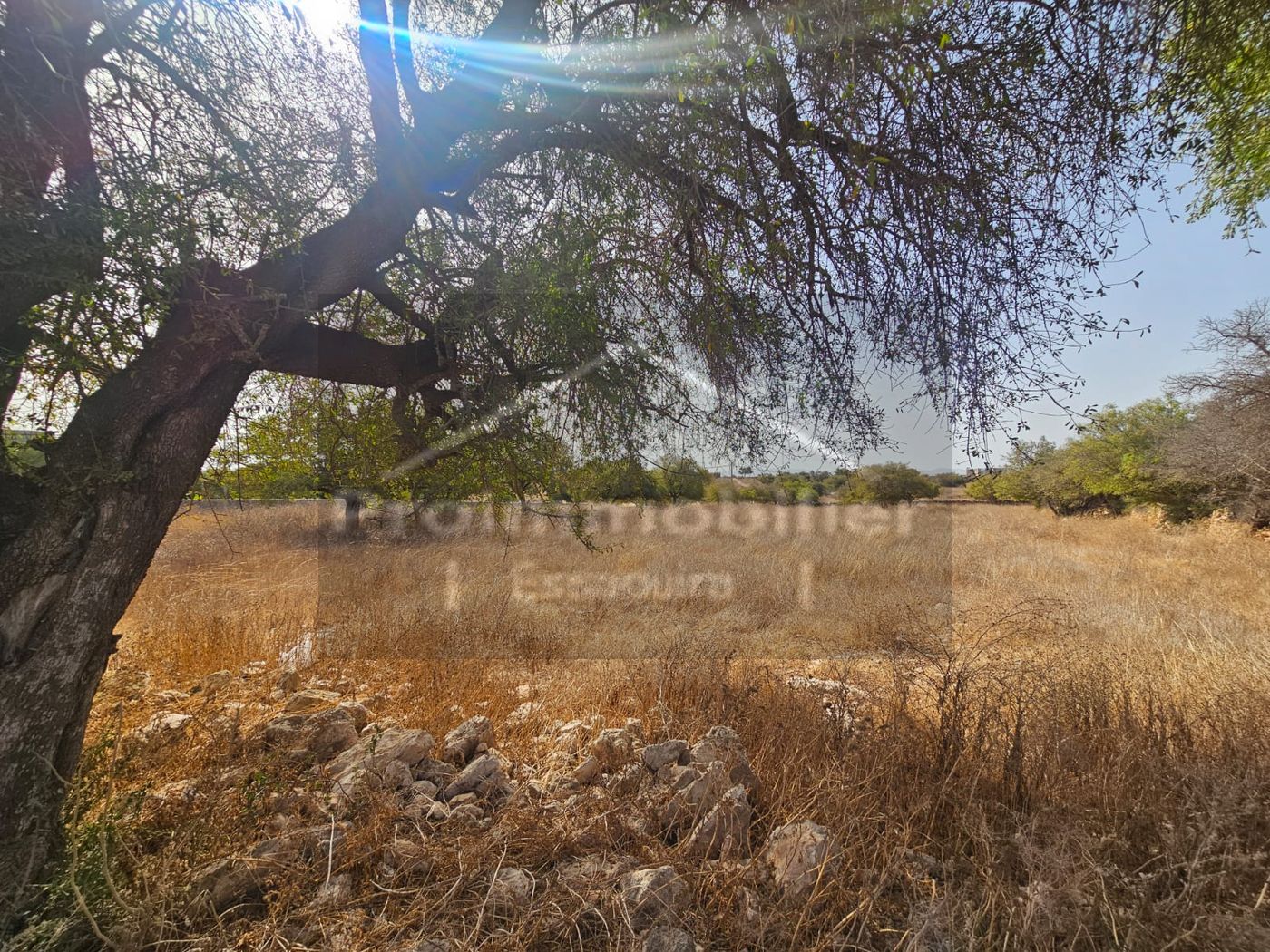 Terrain titré de 6749 m² à proximité d’Essaouira, Sidi Kaouki et de l’aéroport