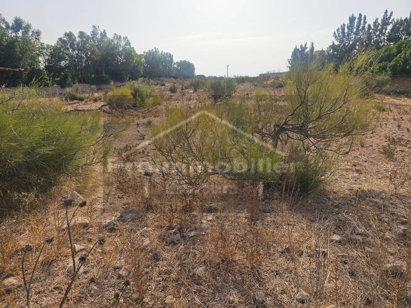 Terrain titré de 8850 m² à proximité d’Essaouira, Sidi Kaouki et de l’aéroport